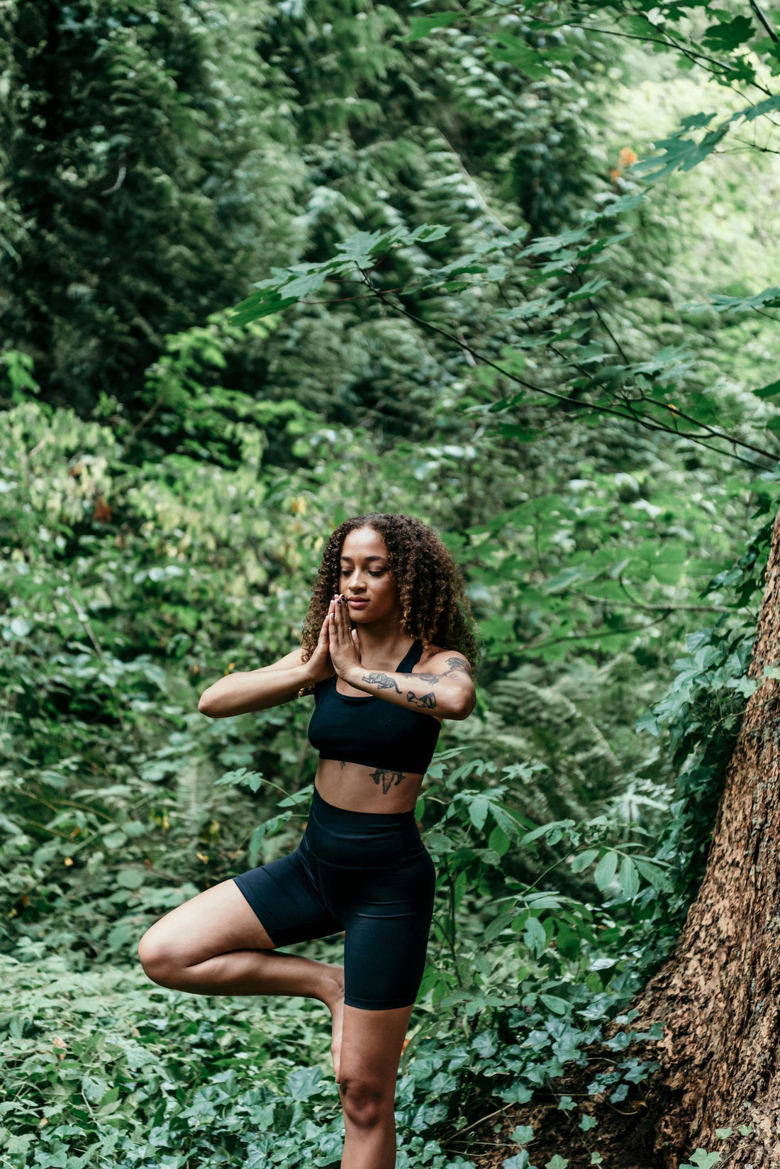 Harnessing Beetroot: Enhancing Circulation for Calmness of Mind and Body